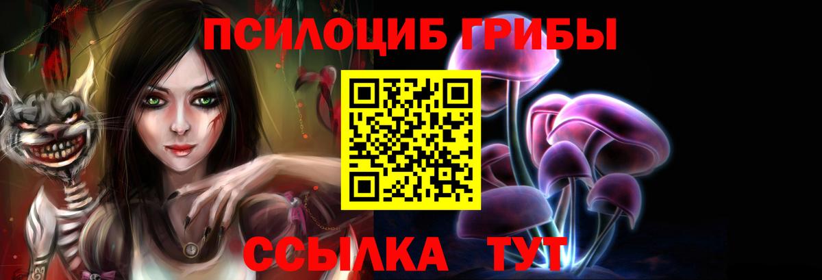 Мирный  Псилоцибиновые грибы прущие грибы  Вход с VPN 